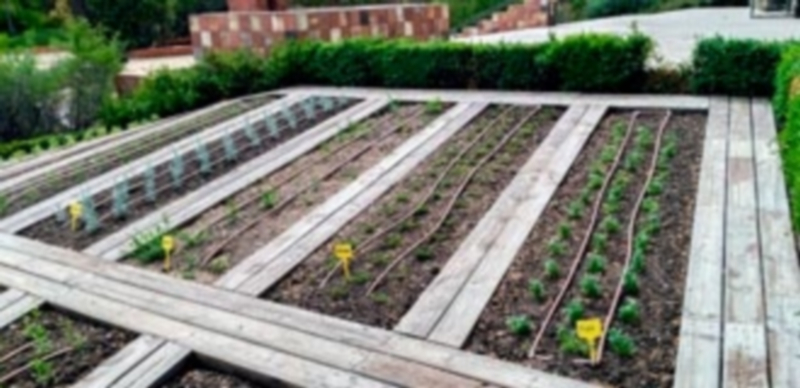 En esta zona del Jardín Botánico se han plantado especies de huerta ornamental y plantas condimentarias. / E. A.