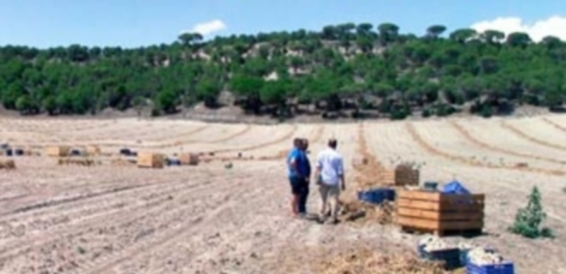 Varios agentes de la Guardia Civil