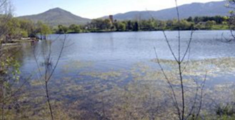La aparición de un determinado tipo de algas en el Pontón es la causa del olor y sabor diferentes del agua del grifo. /A. B.