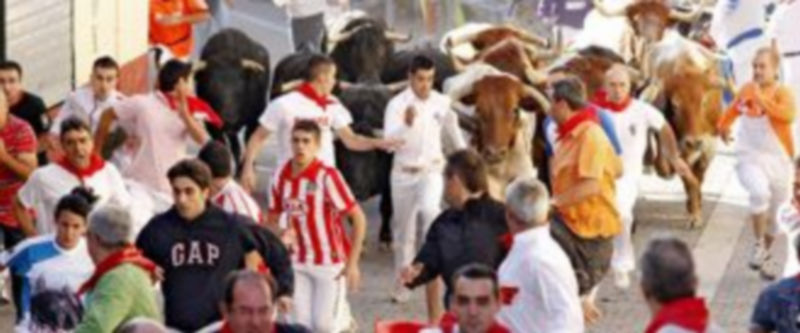 La manada recorrió rápida y agrupada las calles de la villa ya que solo una de las reses quedó rezagada unos metros por detrás hasta  la Plaza de toros. / Gabriel Gómez