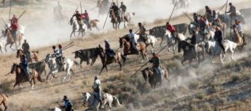 Entrada de las reses de Esteban Isidro al casco urbano de la villa a través de El Embudo punto que marca el fin del recorrido campero. / Gabriel Gómez