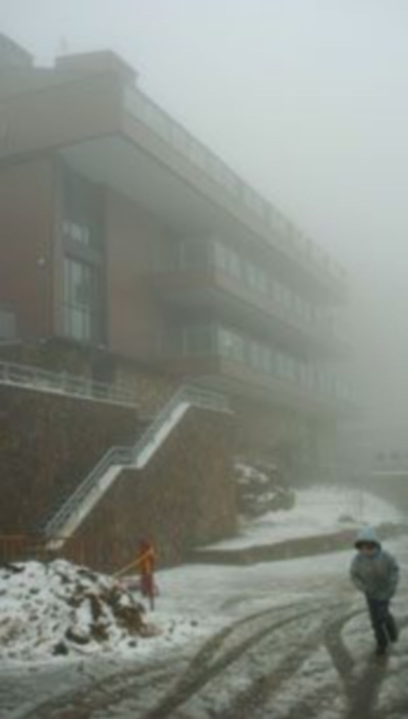 Un niño caminaba ayer