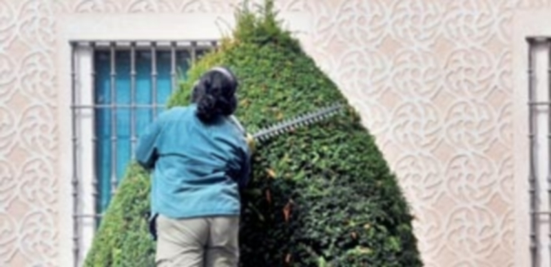 El programa de ayudas permitió la contratación de cinco peones para el servicio de Jardines. / KAMARERO