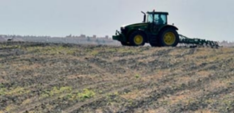 Agricultura es uno de los sectores en los que descendió el número de parados en febrero. / KAMARERO