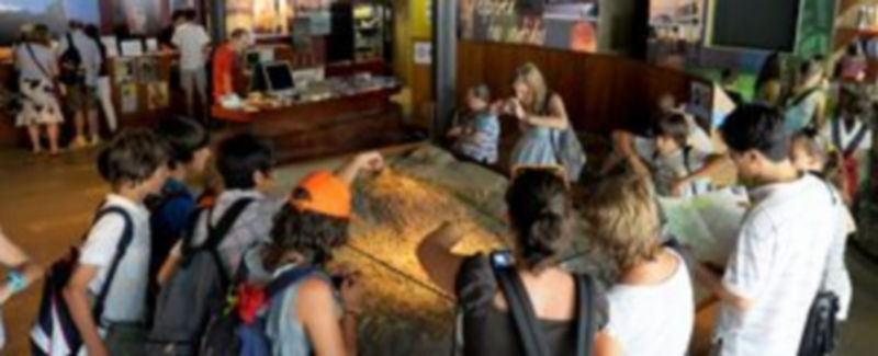 Un grupo de personas observa un mapa en relieve de la provincia de Segovia en el Centro de Recepción de Visitantes del Azoguejo. / Kamarero