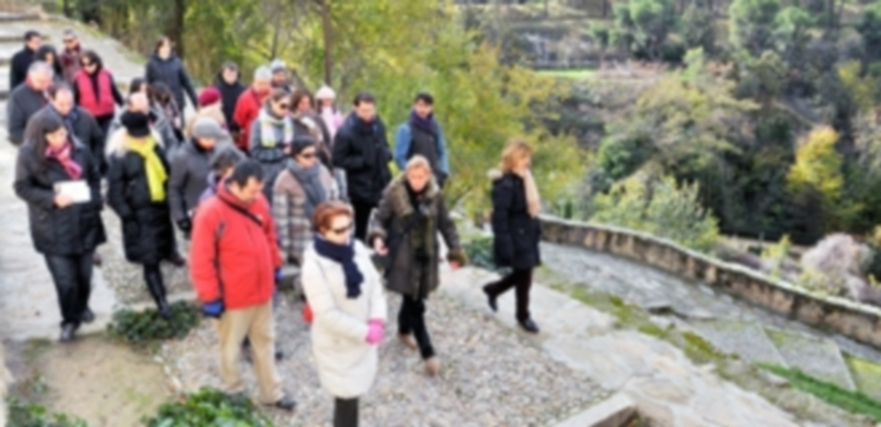 Los paseantes recorren la Necrópolis Judía guiados por las explicaciones de Isabel Marqués Martín. / Kamarero