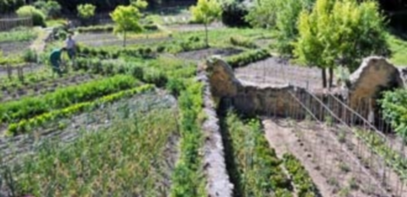 Los Huertos de Ocio se ubican en diferentes parcelas del valle del Eresma y se destinan a un uso hortofrutícola. / KAMARERO
