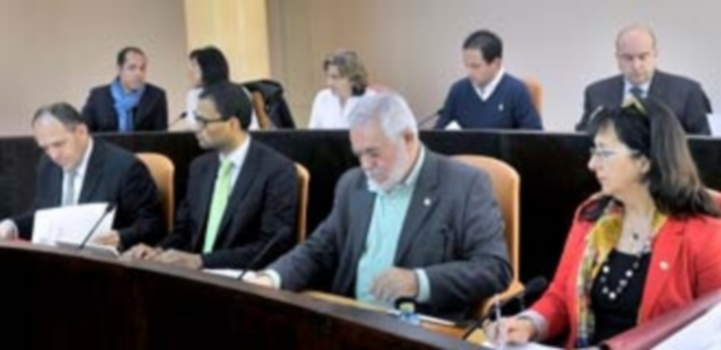 Diputados provincial del grupo socialista