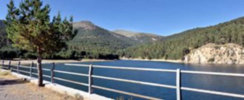 Estado actual de la presa de El Tejo