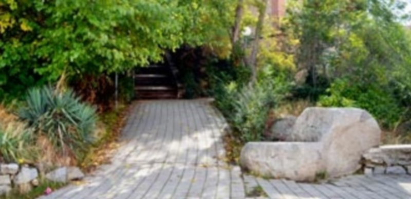 Uno de los caminos que forman parte del terreno de más de 7.470 metros cuadrados cedidos al municipio. / TAMARA DE SANTOS