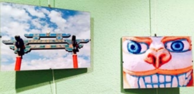 Abel Gil Lobo y Ana María Merenciano son los autores de las fotografías. / EL ADELANTADO