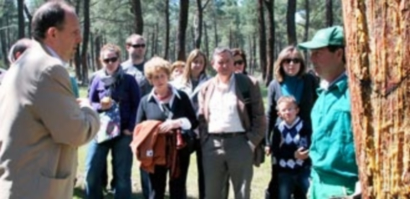 José Luis Aceves conoce de cerca la labor de los resineros. / EL ADELANTADO