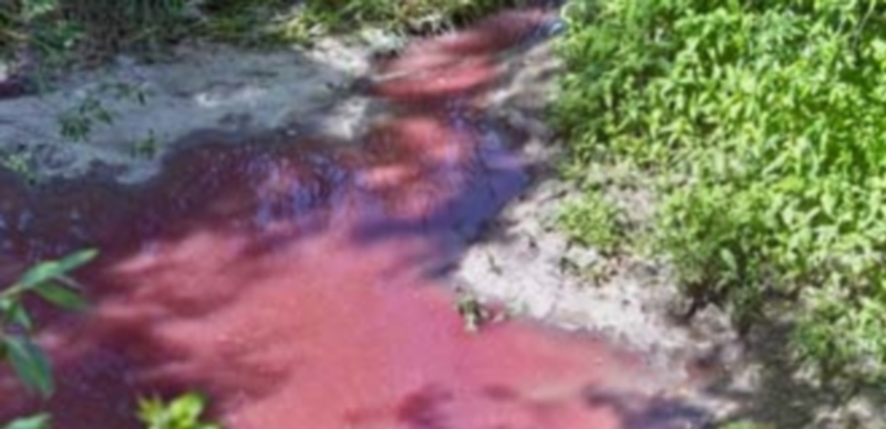 Aspecto que presenta el río Eresma