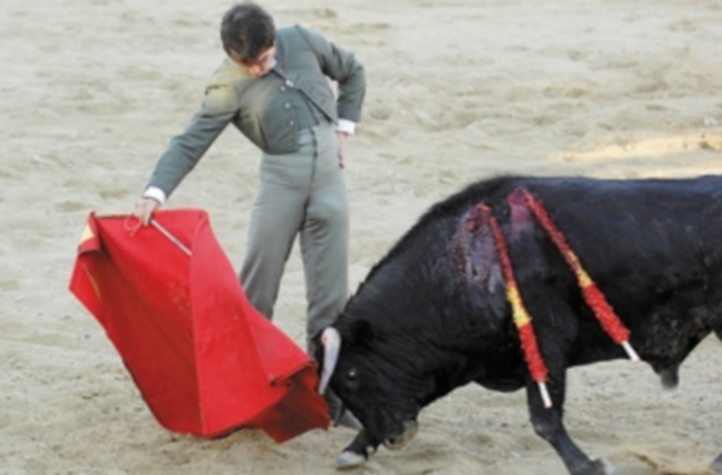 Javier Herrero tuvo momentos de espléndido toreo con la flámula. / Juan Martín