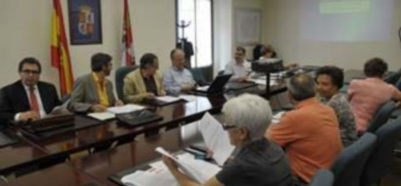 El Consejo de Area de Salud