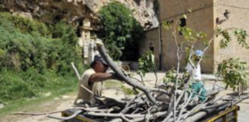 Operarios de La Unidad Especial retiran las ramas de árboles cortadas por los bomberos en la zona. / Juan Martín