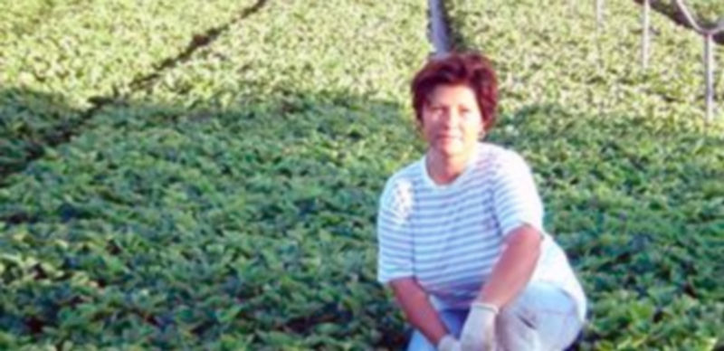 La rumana María Mihalache