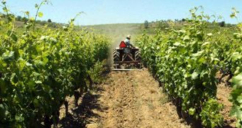 La contratación aumentó significativamente en el sector agrario. / E. A.