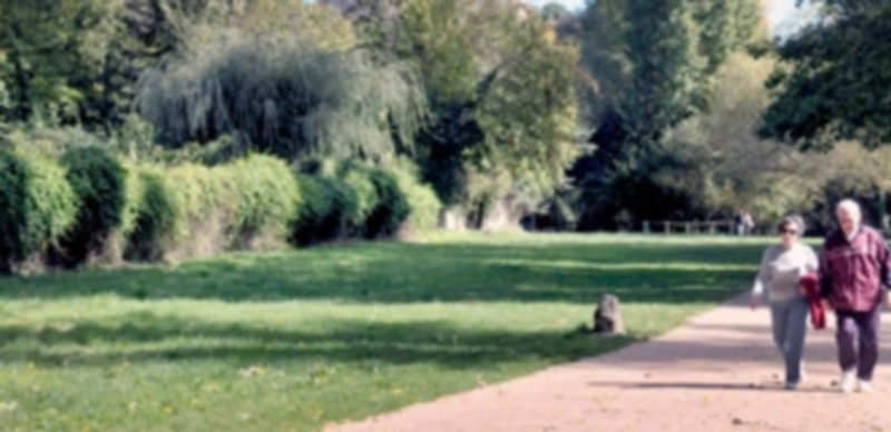 La parcela se sitúa junto a la ribera del Eresma y la Puente Castellana y supone un lugar habitual de paseo. / Juan Martín