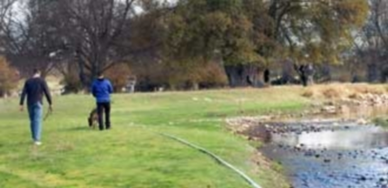 Zona en la que apareció el cadáver de Rosa de Andrés y donde la Guardia Civil estuvo buscando pruebas. / G. Herrero