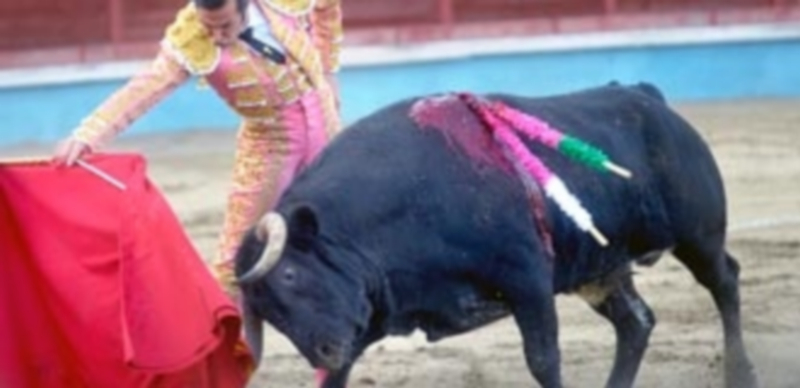 David Mora cortó una oreja a cada toro suyo en una tarde plena de torería./ kamarero