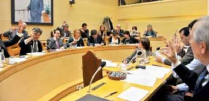 El programa económico para el año 2013 será aprobado en una sesión extraordinaria de pleno prevista para mediados del presente mes de enero. / Kamarero