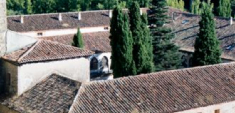Vista parcial de las cubiertas del monasterio de Santa María del Parral. / Kamarero
