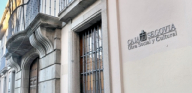 Colegio Domingo de Soto