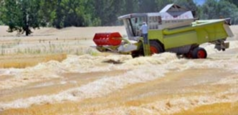 Una máquna cosechadora