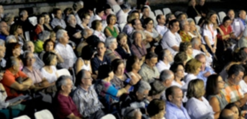 El FS cierra su 40 edición habiendo vendido el 99% de las entradas 1 El público de fuera y dentro de la provincia llenó la totalidad de espectáculos del Festival de Segovia. / Kamarero