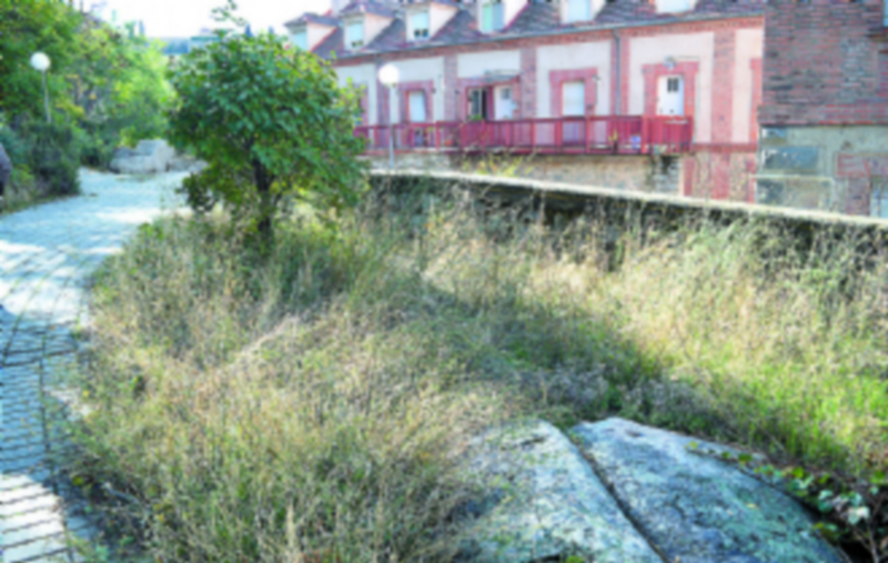 Uno de los problemas del grupo de viviendas de protección oficial es la proliferación de maleza. / Tamara de Santos