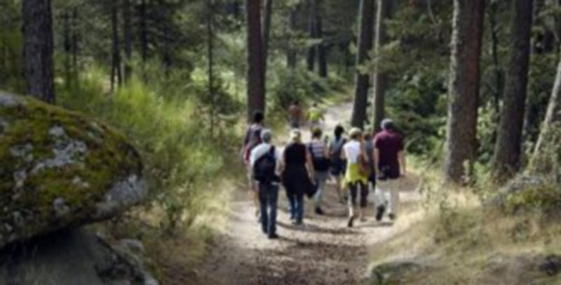 Un grupo de personas