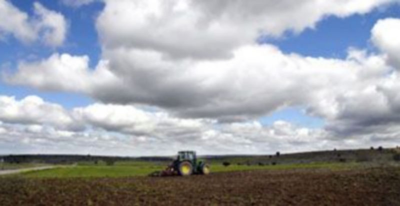 La agricultura es uno de los sectores en el que más ha descendido el desempleo en los últimos 30 días. / Juan Martín
