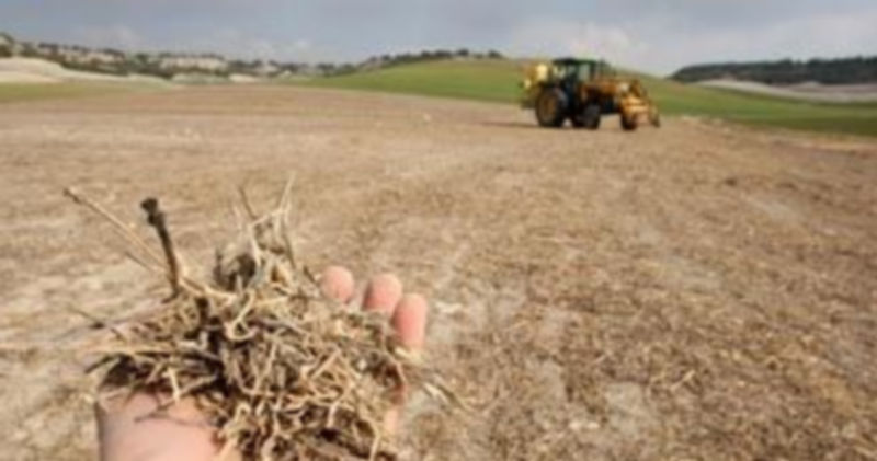 La sequía es el principal motivo por el que los agricultores segovianos han solicitado indemnizaciones. / Ical