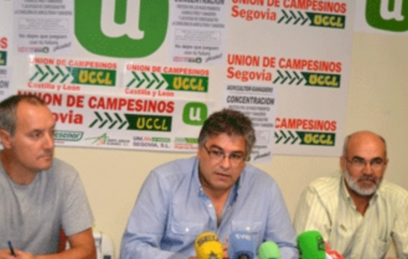 Juan Manuel Palomares