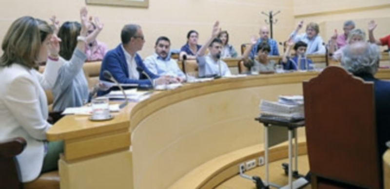 El pleno celebrado el pasado viernes debatió y votó esta moción presentada por Ciudadanos. / KAMARERO
