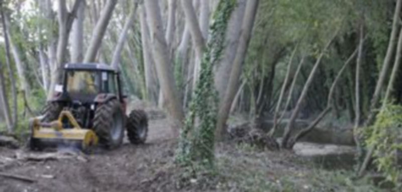 Un tractor de la empresa pública Tragsa arrastra una desbrozadora con la que elimina restos de árboles y vegetación en la ribera del río Eresma