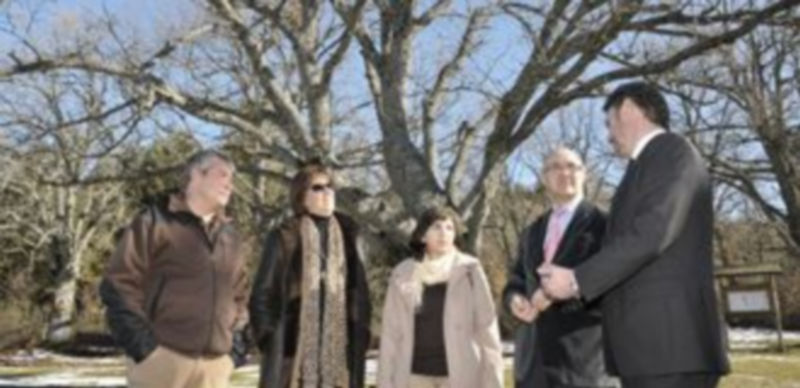 De izquierda a derecha