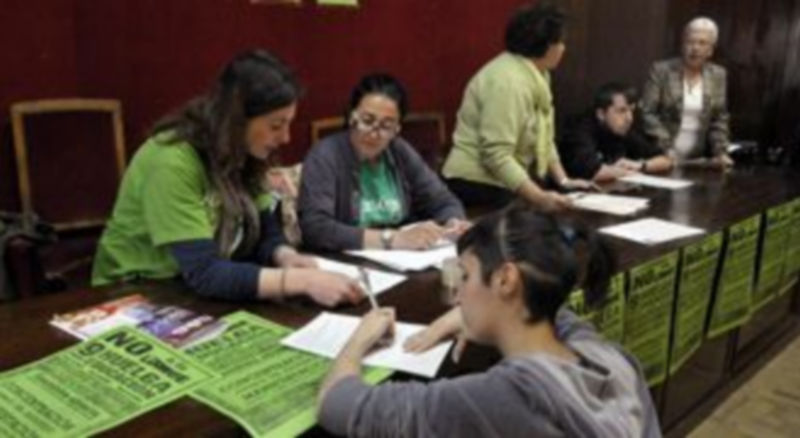 La plataforma integrada por trece colectivos segovianos han organizado los actos reivindicativos. / Juan Martín