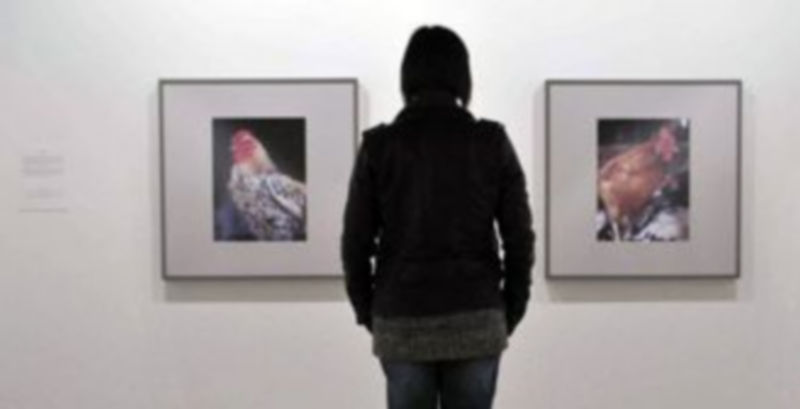 Una persona observa las obras expuestas en el Museo. / Juan Martín