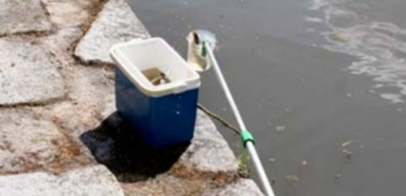 Las aguas del río Eresma continúan presentando un aspecto bastante turbio desde la zona de la estación depuradora./ E.A.