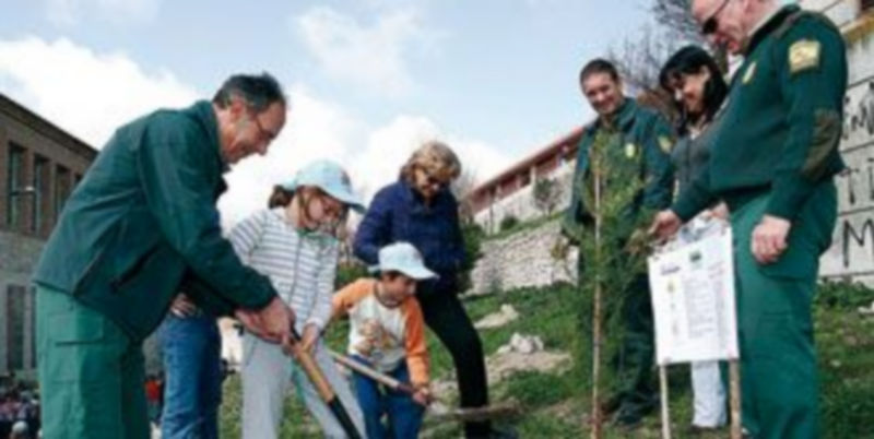 Un momento de la plantación de árboles realizada ayer por los alumnos del ‘Villa de Cuéllar’. / GABRIEL GÓMEZ