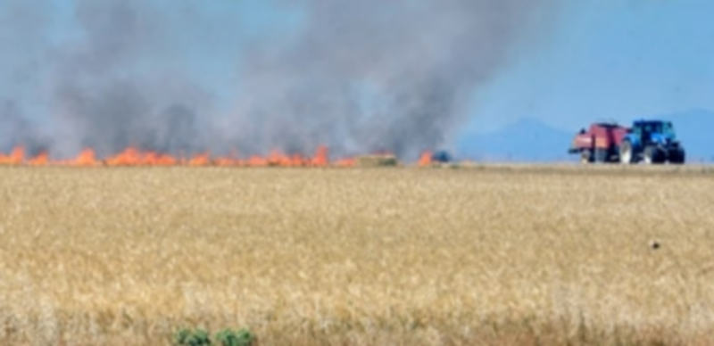 Los trabajos forestales pueden provocar incendios no intencionados en el campo