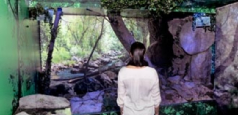 El Centro de Interpretación del Barrio de San Lorenzo es uno de los que más actividades educativas acoge. / Kamarero