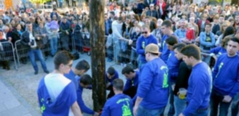 Los mozos del barrio se afanaron en instalar de forma precisa y segura el mayo en el lugar más singular de la plaza./ Kamarero