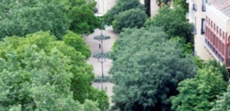 El pleno aprobará el gasto de 252.000 euros de remanente en diversos proyectos 1 El Ayuntamiento destinará 17.000 euros a arreglos en el Paseo del Salón. / Kamarero