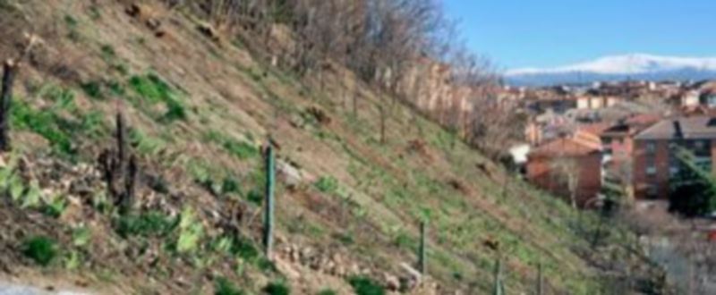 El aparcamiento ocupará parte del talud del Paseo de Los Tilos y la calle de San Millán. / Kamarero