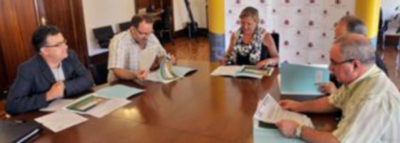 Imagen de un momento de la reunión ayer de la Comisión Informativa del Fondo Estatal para el Empleo. / Kamarero.