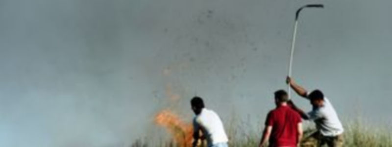 Varios particulares participaron en las labores de extinción del incendio de Hontoria el pasado viernes./CRISTINA MURO