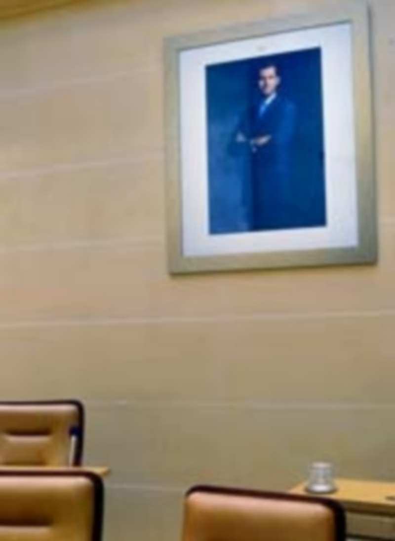 Fotografía del Rey Felipe VI que preside el salón de plenos. / Kamarero